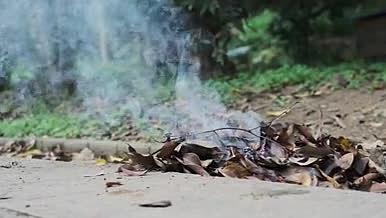 焚烧树叶枯草的浓烟视频的预览图